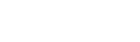 logo_domenico_bucchini_bianco